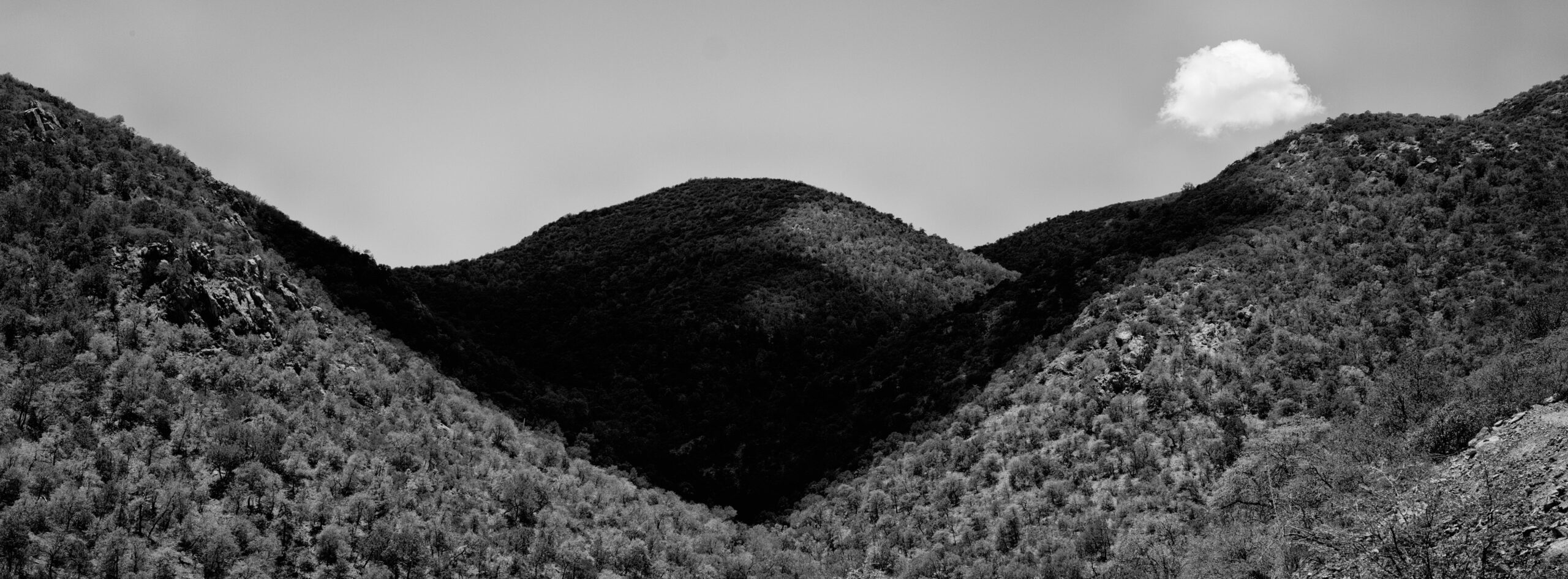 The Patagonia Mountains, a small range only 15 miles long, are one of Southern Arizona's "Sky Islands," patches of rich biodiversity rising above the Sonoran and Chihuahuan Deserts.