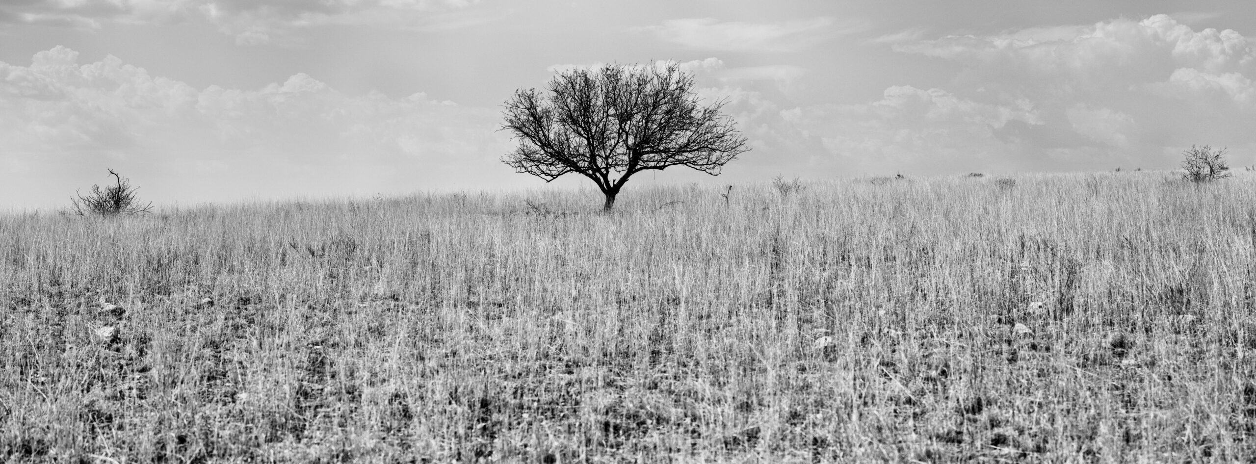 The San Rafael Valley, a natural area known for its abundant wildlife, is considered threatened by local residents by impacts from South32’s Hermosa project, a new manganese and zinc mine in southern Arizona.