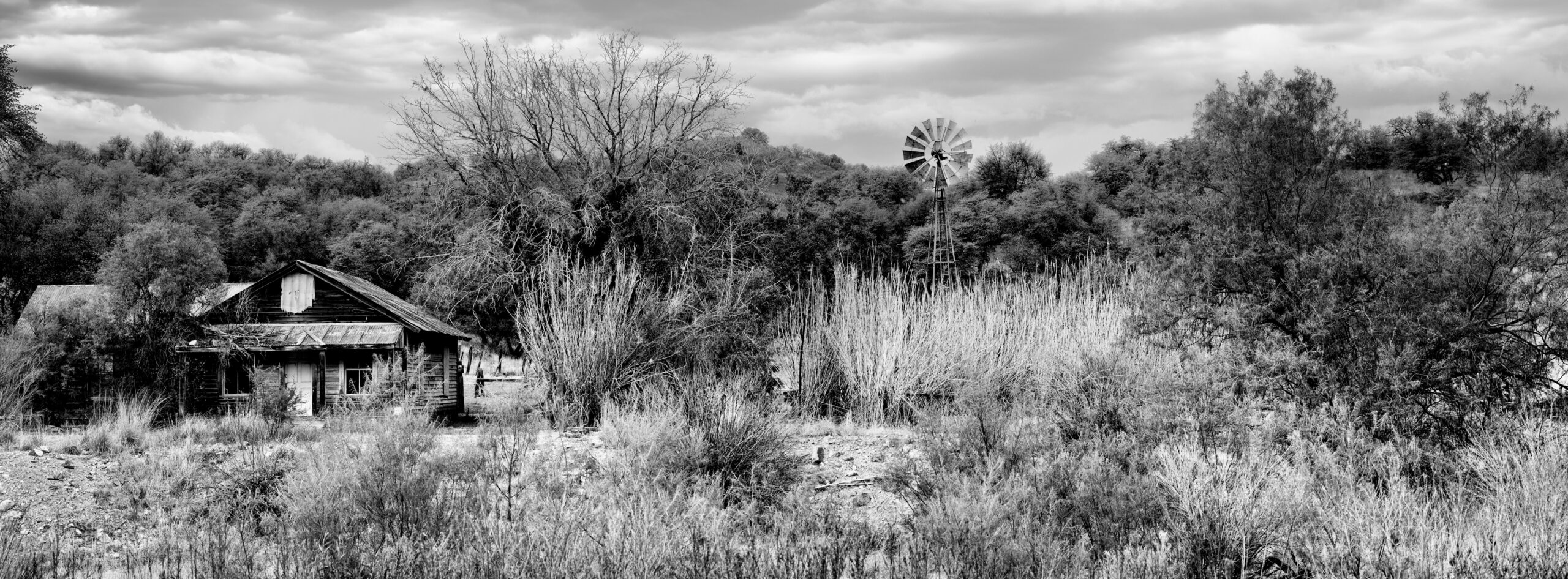 A defunct ranch in southern Arizona's San Rafael Valley.