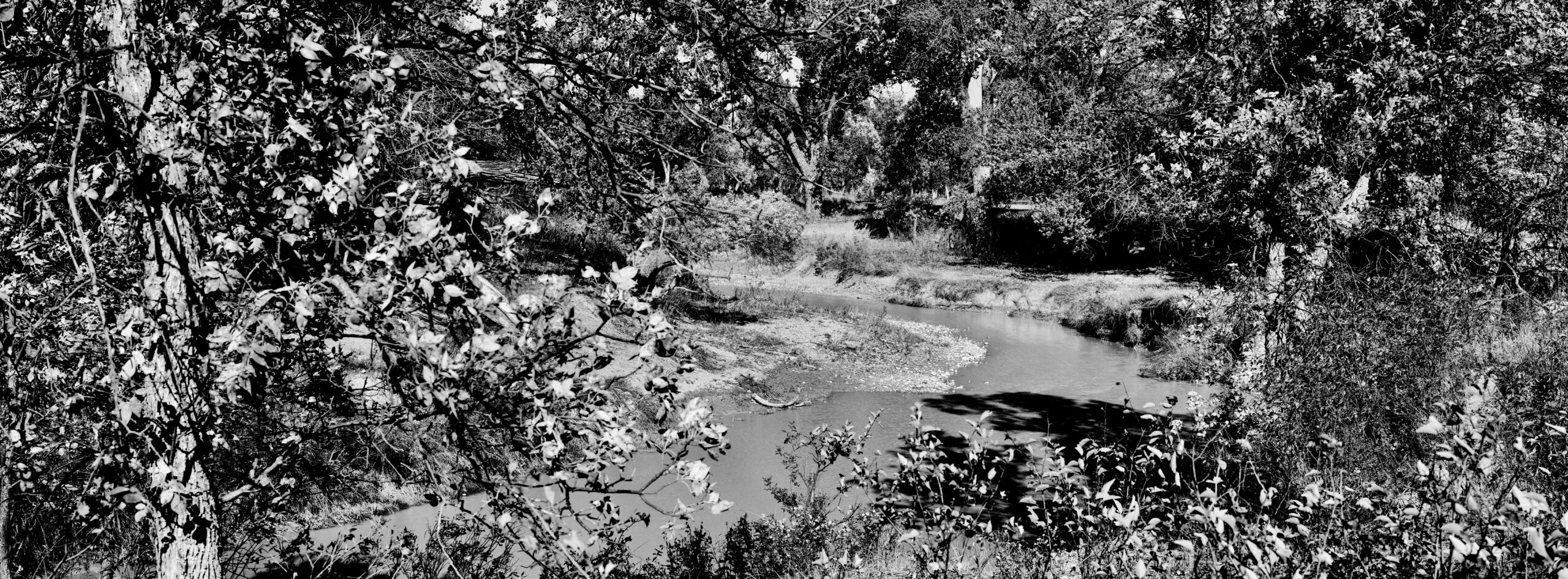 Past uranium mining has led to elevated uranium levels in the White River.