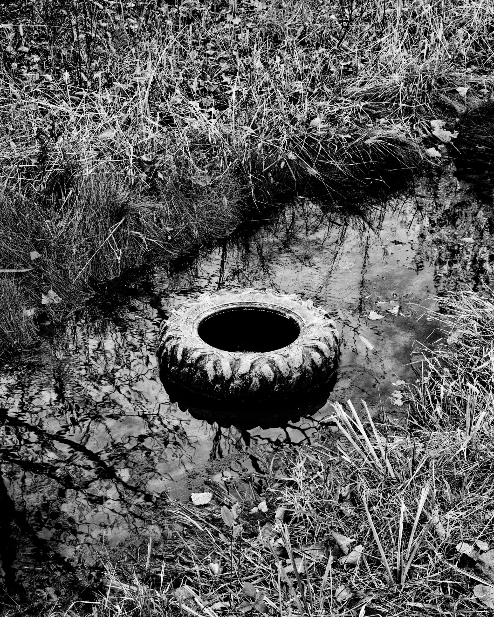 Roadside ditch.