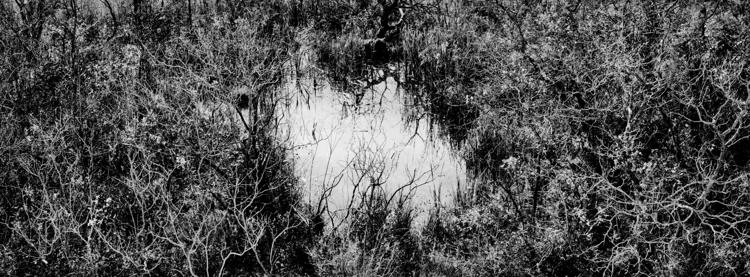 Flooded and abandoned mine shaft.