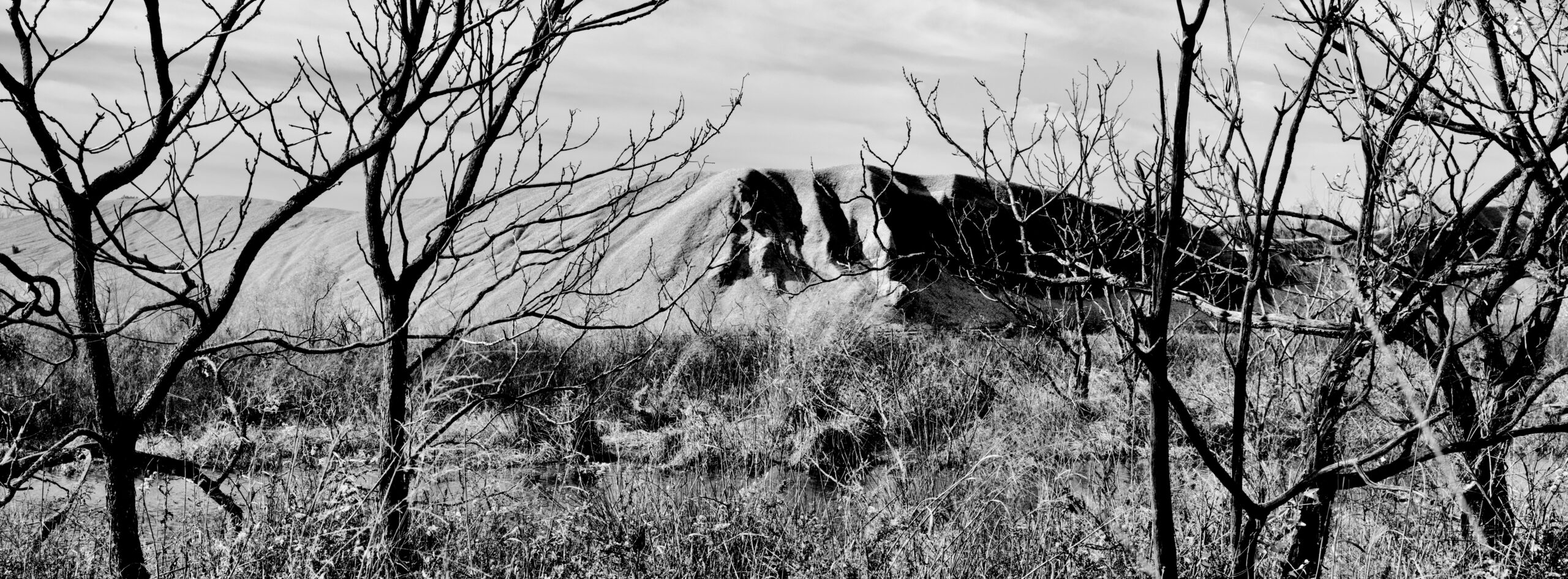 Chat pile from lead and zinc mining along Tar Creek, one of the most polluted rivers in America.