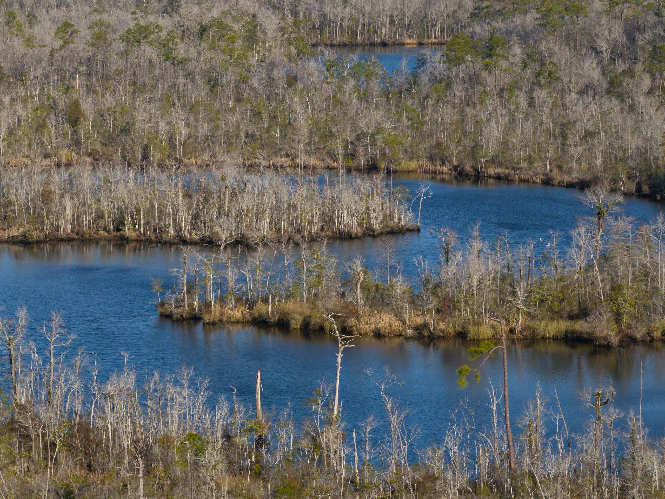 Chickasaw Creek winds through marshland.