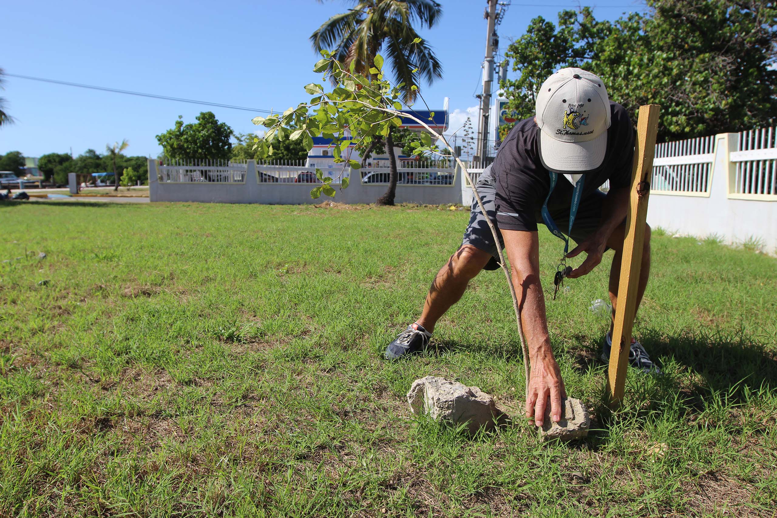 Tree planting coordinated by Un Nuevo Amanecer.