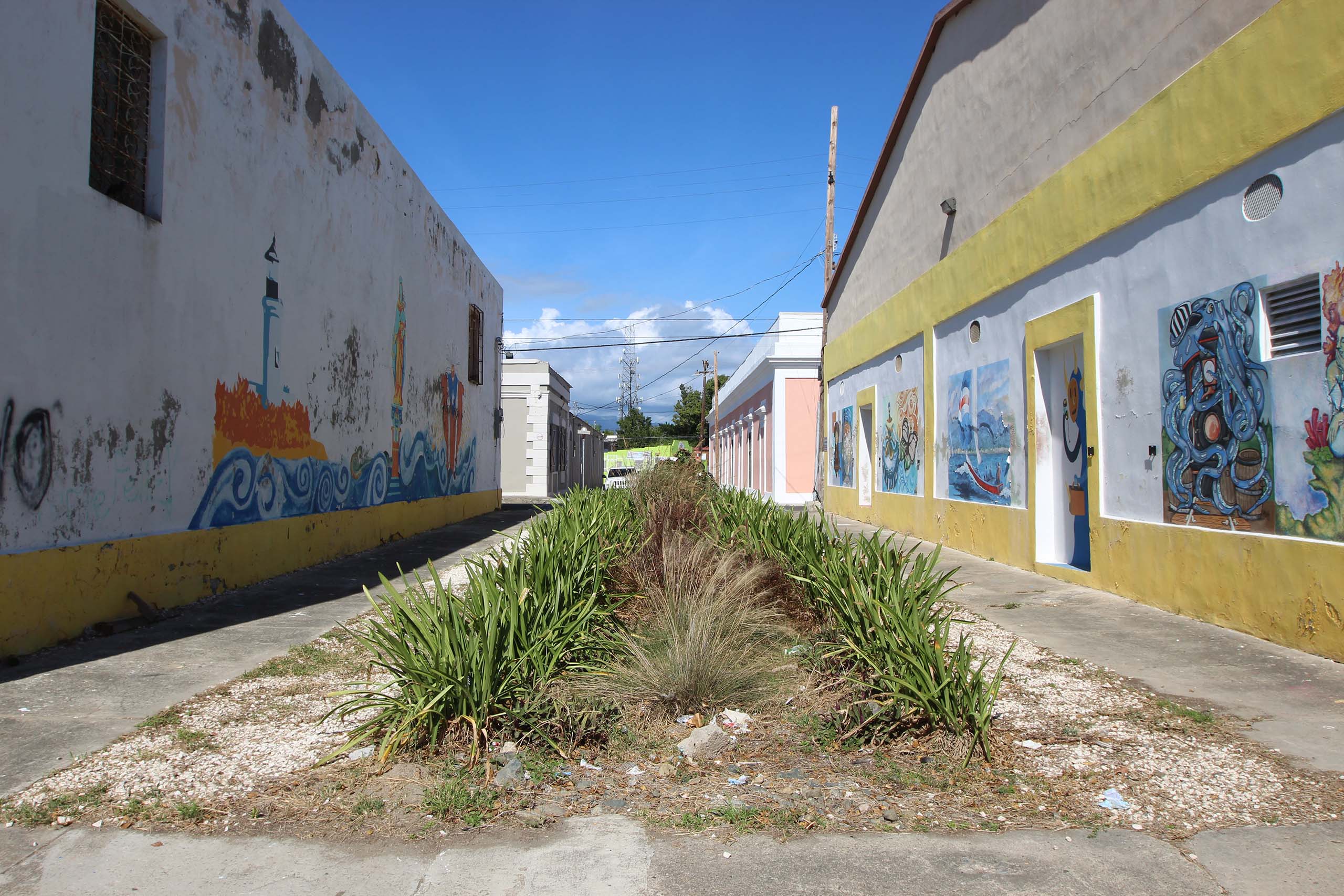 Beautification in the city of Ponce.