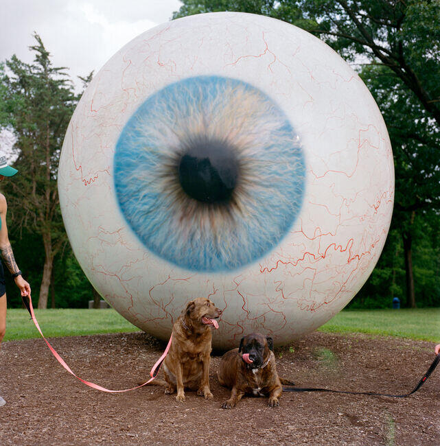 Lumiere Sculpture Park. Dogs and eye.